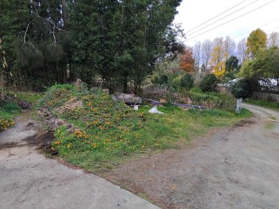 Handy services dip rd yard clean front Handy services dip rd yard clean front